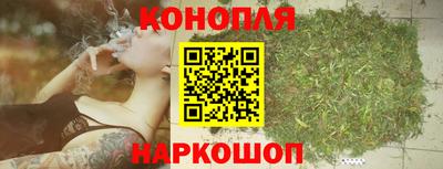 ПСИЛОЦИБИНОВЫЕ ГРИБЫ Камышлов