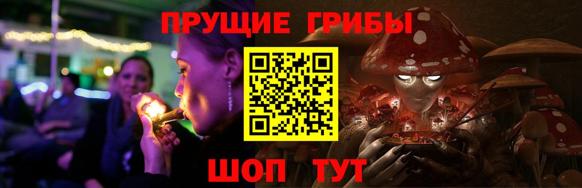 Псилоцибиновые грибы мицелий  Галлюциногенные грибы Psilocybe  Вход с VPN  где продают наркотики  Ленинск-Кузнецкий 